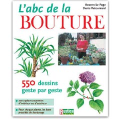 ABC bouture